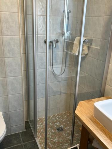 a shower with a glass door in a bathroom at Hotel am Spreebogen in Burg