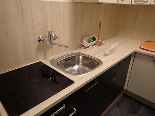 a kitchen with a sink and a counter at Good Vintage Apartment in Bad Mitterndorf