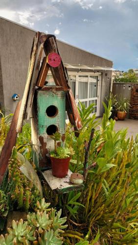 Jardín al aire libre en Recanto dos pássaros