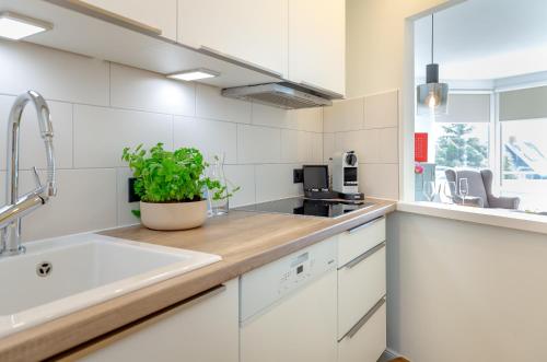 a kitchen with white cabinets and a plant on the counter at Louis in Westerland (Sylt)