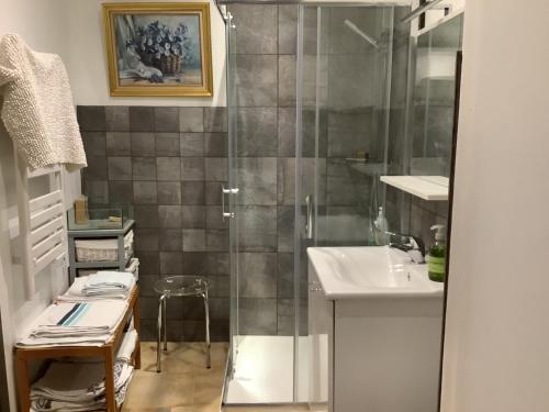 La salle de bains est pourvue d'une douche et d'un lavabo. dans l'établissement Apartloisir, à Malaucène