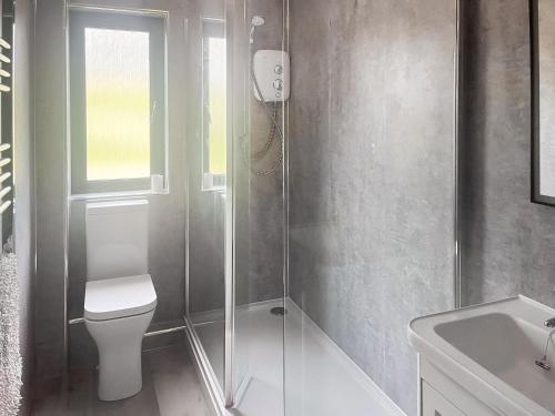 a bathroom with a shower and a toilet and a sink at Harelaw Brae in Grantshouse