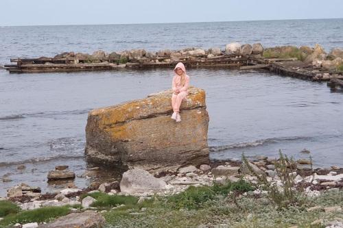 Gallery image of Fantastiskt hus på fårö in Fårö
