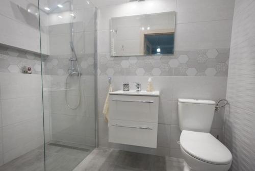W łazience znajduje się prysznic, toaleta i umywalka. w obiekcie Apartamenty Pod Fortami w mieście Przemyśl