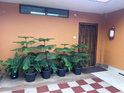 Φωτογραφία από το άλμπουμ του BKR Homestay 1BH, 4th floor σε Itānagar