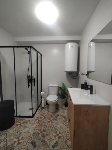 a bathroom with a toilet and a shower and a sink at Caballito de mar in Malpica