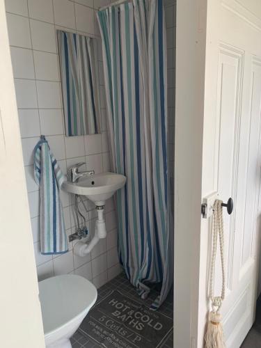 een badkamer met een wastafel, een toilet en een douche bij Sommarvilan in Vaxholm