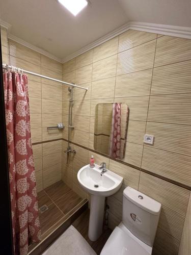 La salle de bains est pourvue de toilettes, d'un lavabo et d'une douche. dans l'établissement Колібрі, à Reni