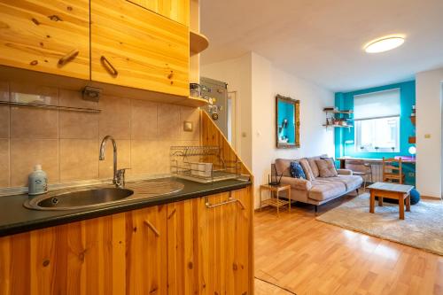 a kitchen with a sink and a living room at 1 Bedroom Natural Condo in Sofia