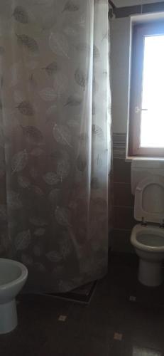 ein Badezimmer mit Toilette und Duschvorhang in der Unterkunft Cuore del Cilento in Piaggine