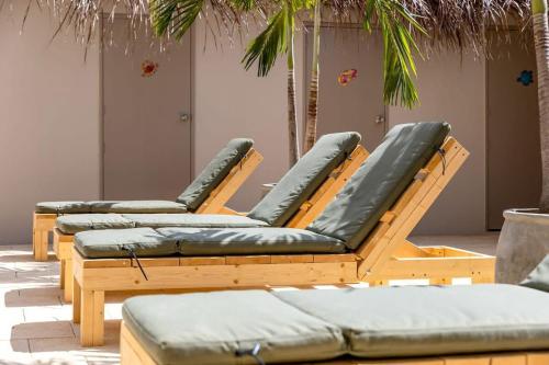 a row of chaise lounges with green cushions at Belnem Breeze Kas di Mars with Communal Pool in Kralendijk
