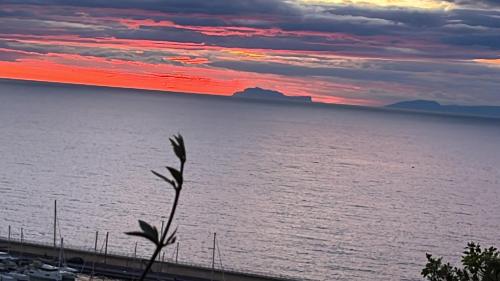 uma vista para o oceano ao pôr-do-sol com uma árvore em Suites Luisa Sanfelice em Agropoli
