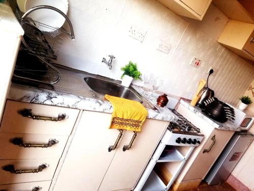 cocina con fregadero y fogones horno superior en T-Tree Paradise Apartments, en Embu
