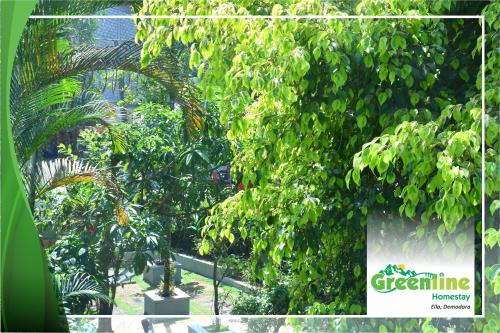 a group of trees in a garden with a sign at Greenline Homestay in Demodera