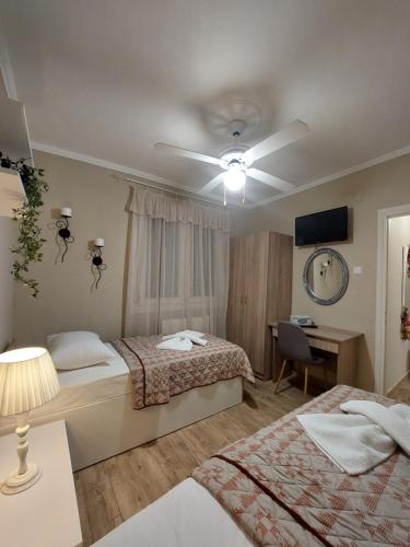 1 Schlafzimmer mit 2 Betten und einem Deckenventilator in der Unterkunft ALICE'S ARt HOUSE in Kavala