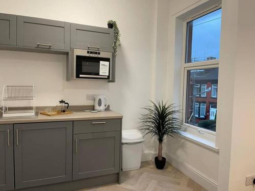 a kitchen with gray cabinets and a potted plant at Modern 6bedroomall ensuite in Birkenhead Free Parking and Wifi in Wallasey