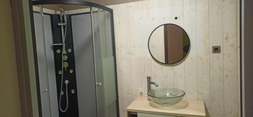 Ligny-en-Barroisにあるappartement hôtelのバスルーム(洗面台、シャワー付)