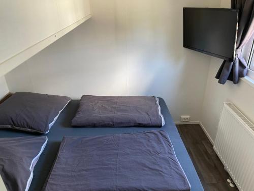 a bedroom with two beds and a flat screen tv at Family Wood Lodge Strandallee 1 , 06249 Mücheln in Mücheln