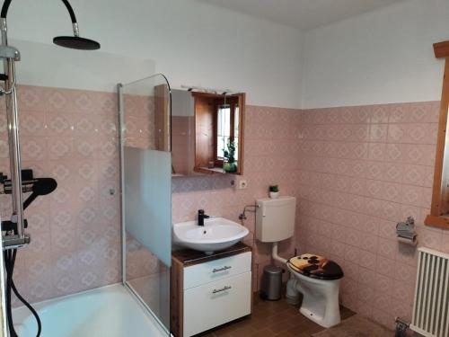 y baño con lavabo, ducha y aseo. en Fischlehen en Breitenbach am Inn