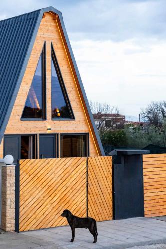 Domácí mazlíčci ubytovaní s hosty v ubytování KOVU chalet
