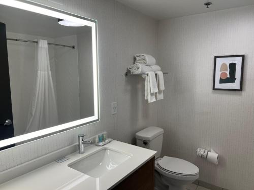 a bathroom with a sink and a toilet and a mirror at Clarion Hotel Nashville Downtown - Stadium in Nashville