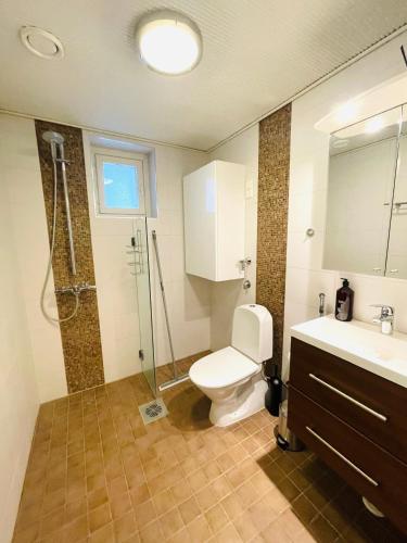 a bathroom with a toilet and a shower and a sink at Kaunis kattohuoneisto Lahden keskustassa in Lahti