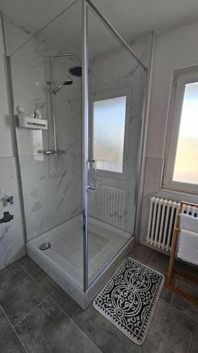 een douche met een glazen deur in de badkamer bij City Apartment Kehl in Kehl am Rhein