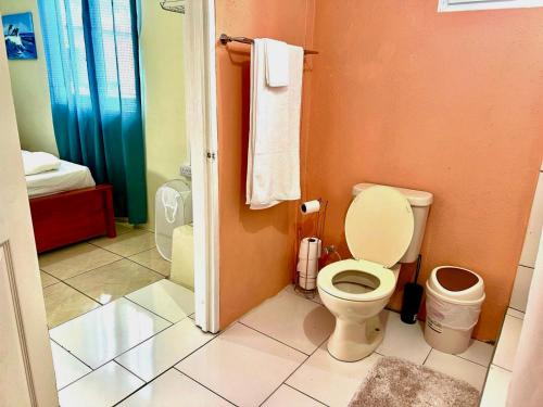 a bathroom with a toilet and a shower at Happy-Nest (First floor) in Marigot