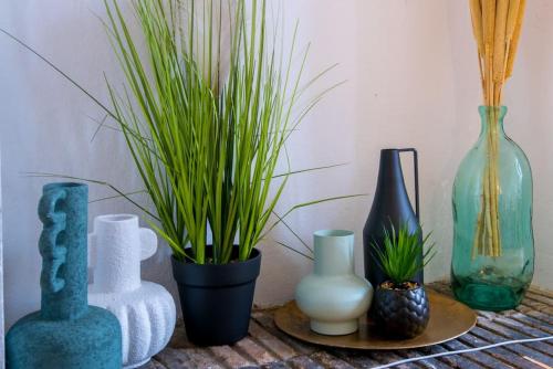 a group of vases and potted plants on a table at Le botanica in Angers