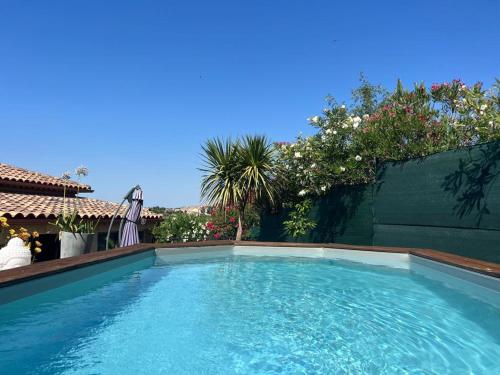 Les oliviers Puisserguier