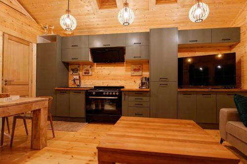 a kitchen with stainless steel appliances and wooden walls at Autour de l'étang 86 in Bourbourg