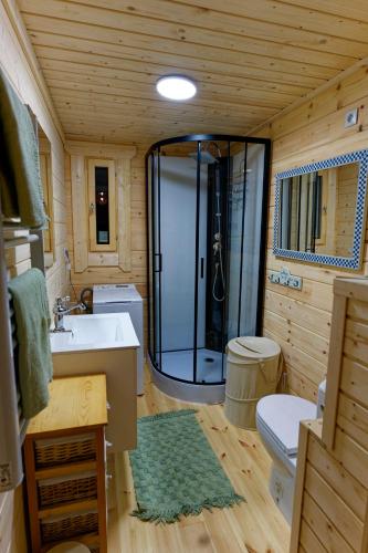 a bathroom with a shower and a sink and a toilet at Autour de l'étang 86 in Bourbourg