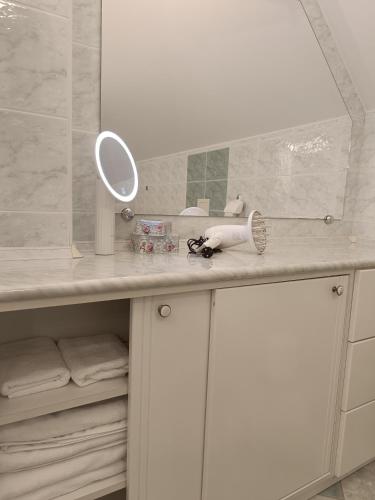 a bathroom counter with a mirror and a sink at Garden villa in Budapest