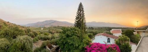 a house in the middle of a field with flowers at Crete Joy in Exopoli