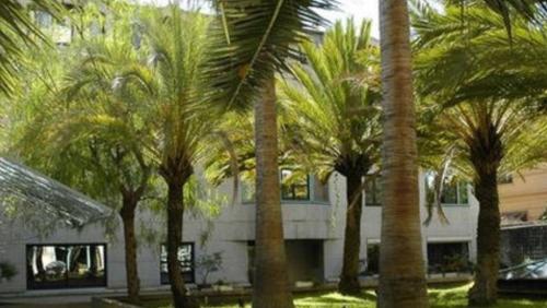 SuperbeStudio in Nice - 450m of the sea- garden view