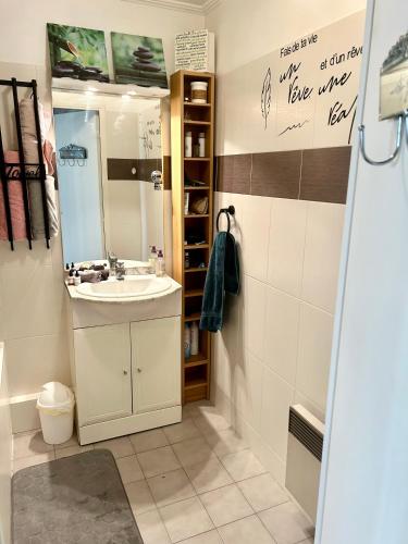 une salle de bain avec un lavabo et un miroir dans l'établissement SuperbeStudio in Nice - 450m of the sea- garden view, à Nice