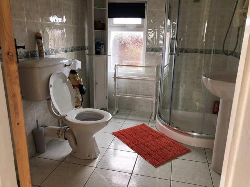 a bathroom with a toilet and a shower at McCormacs Farmhouse in Mullanalaghta