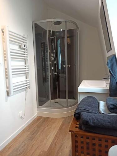 a bathroom with a glass shower in a room at Le Perchoir in Saint-Jans-Cappel