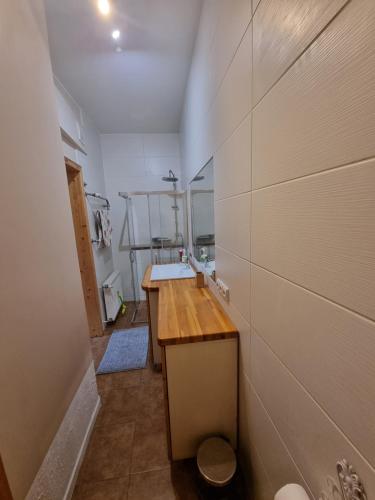 een kleine badkamer met een wastafel en een toilet bij Savanorių pr. 3A in Kaunas