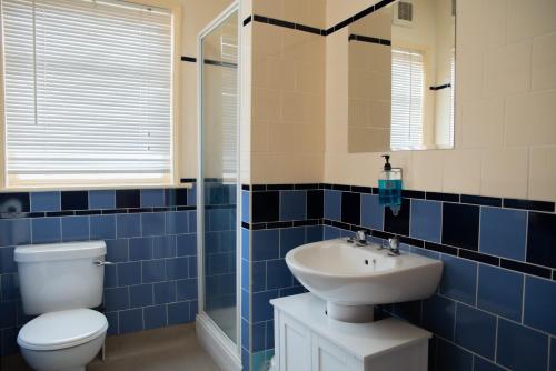een blauw betegelde badkamer met een toilet en een wastafel bij The Plough Inn in Snaith
