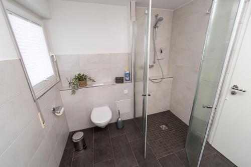 Un baño con inodoro y ducha de cristal. en FeWo Freiken 28, en Arnsberg
