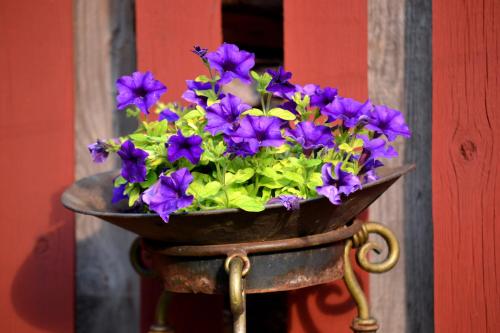 a flower pot filled with purple flowers on a pole at Rosma Mill Holiday House in Põlva