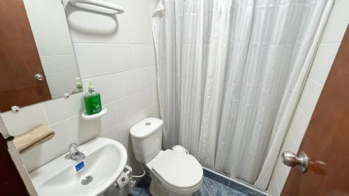 La salle de bains est pourvue de toilettes, d'un lavabo et d'une douche. dans l'établissement Apartaestudio Reloj, à Líbano