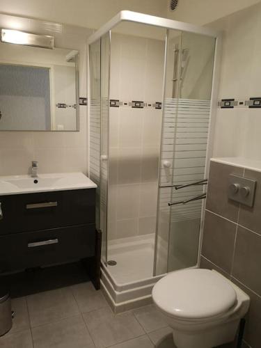 une salle de bain avec une douche, des toilettes et un lavabo dans l'établissement Beautifull 2 rooms appt, closed all main sights!, à Saint-Raphaël