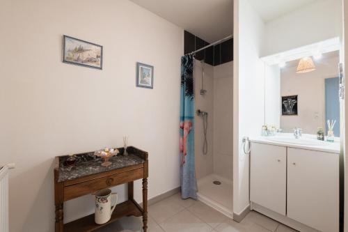 ein Bad mit einem Waschbecken und einer Dusche in der Unterkunft T2 Calme & Charmant proche de Toulouse - A 2min du Campus TBS in Quint-Fonsegrives