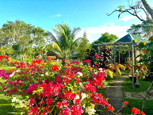 a garden with red and white flowers and a pathway at Camelo Farm in Bilar