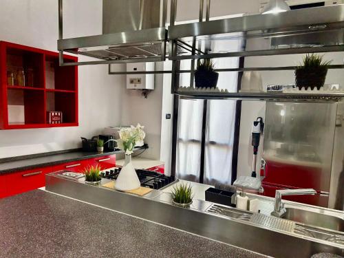 a kitchen with a sink with potted plants on it at Santhry House in Turin