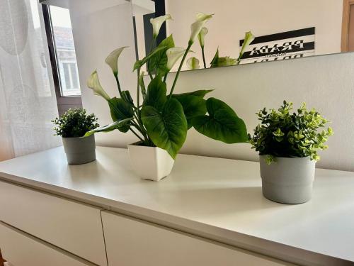 Santhry House photo 27
