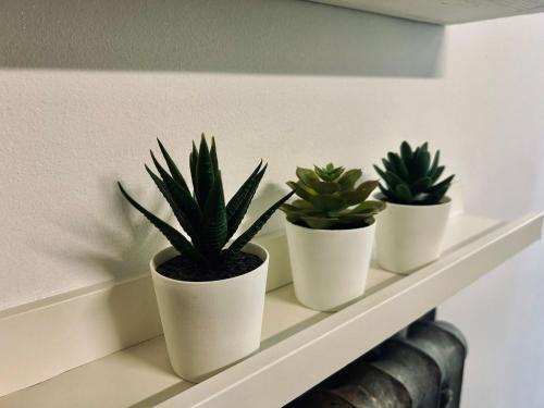 four plants in white pots sitting on a shelf at Santhry House in Turin
