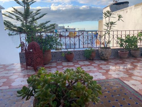 Un balcón con macetas y una silla en un patio. en HATHOR ,Casa marroquí con dos terrazas en la Medina antigua , ideal parejas!! WIFI!!, en Asilah